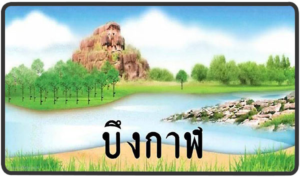 เทส 98