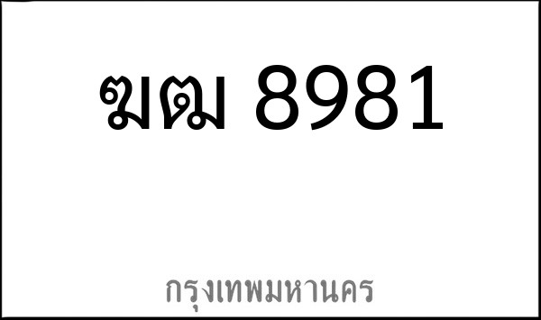ทะเบียนรถยนต์ ฆฒ 8981