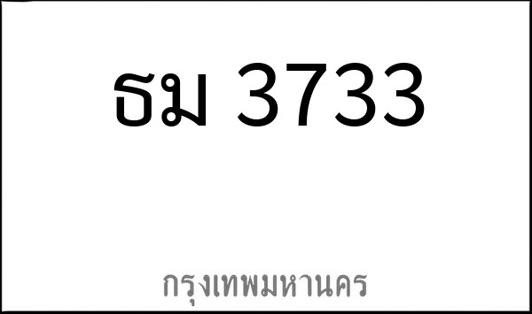 ทะเบียนรถยนต์ ธม 3733